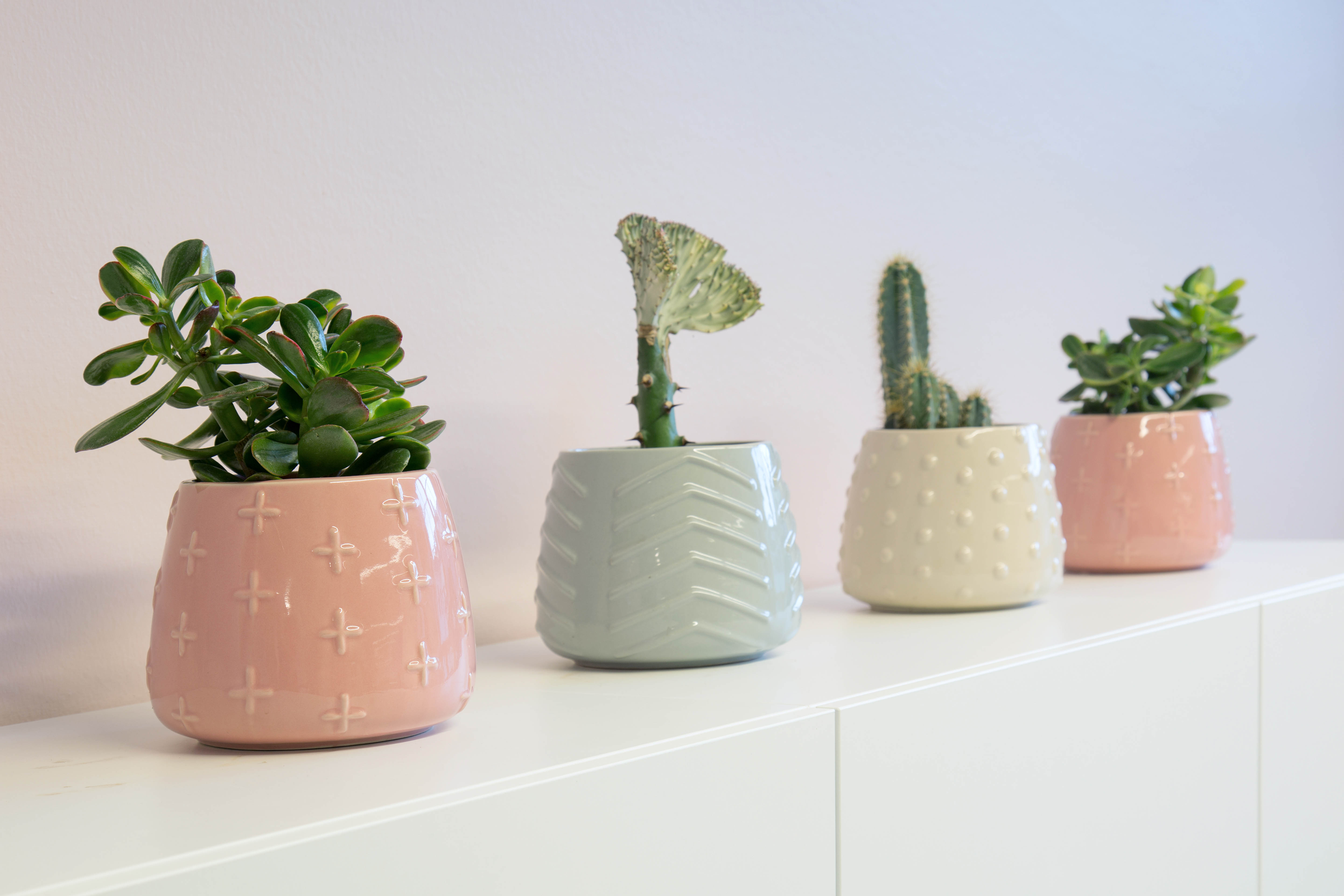 Bonusway office plant pots