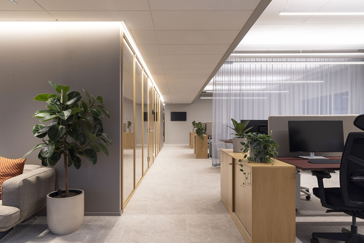 Mint More Creative interior design IXI Eyewear office lab showroom open office