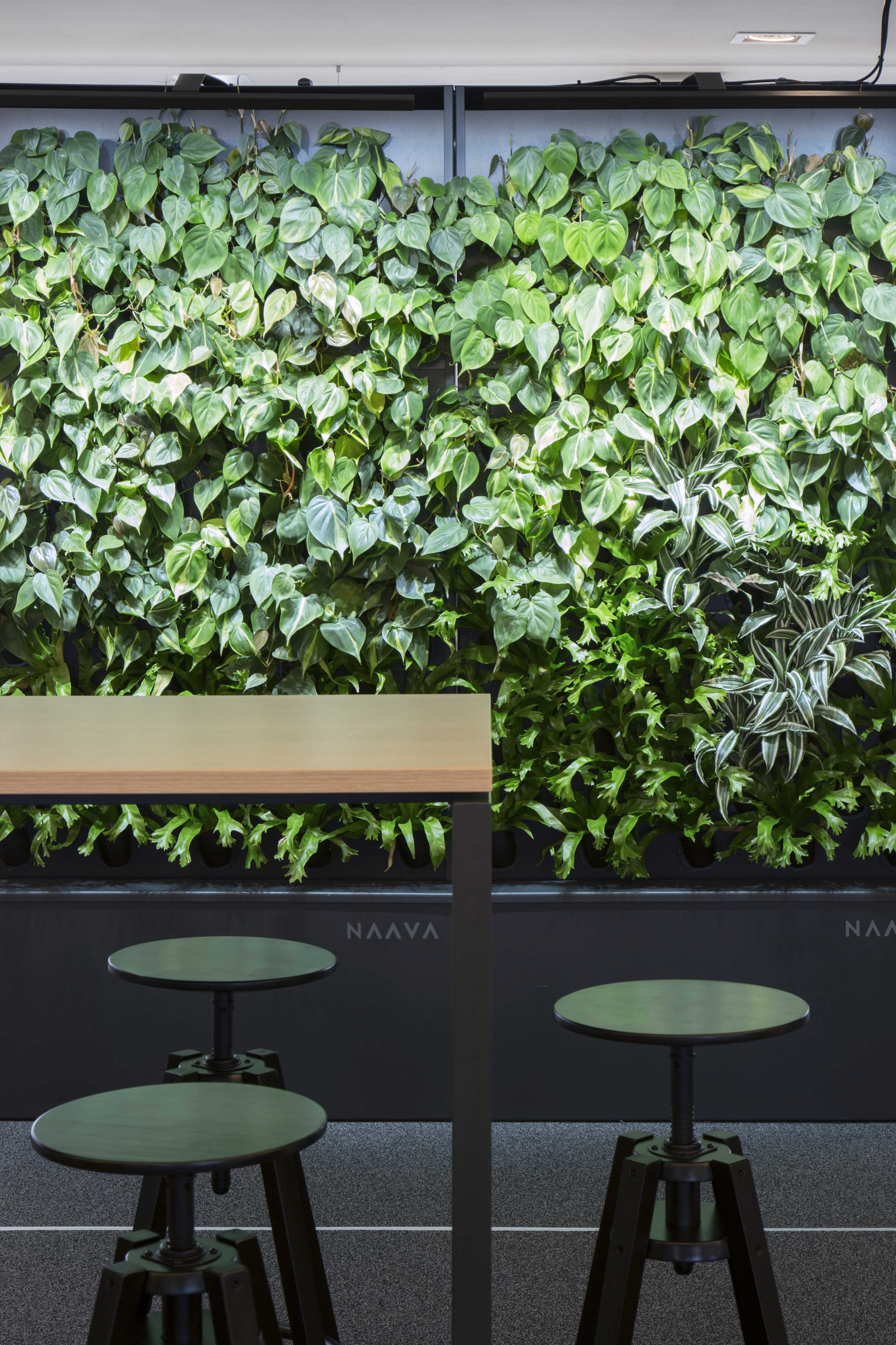 Smarp office open green wall