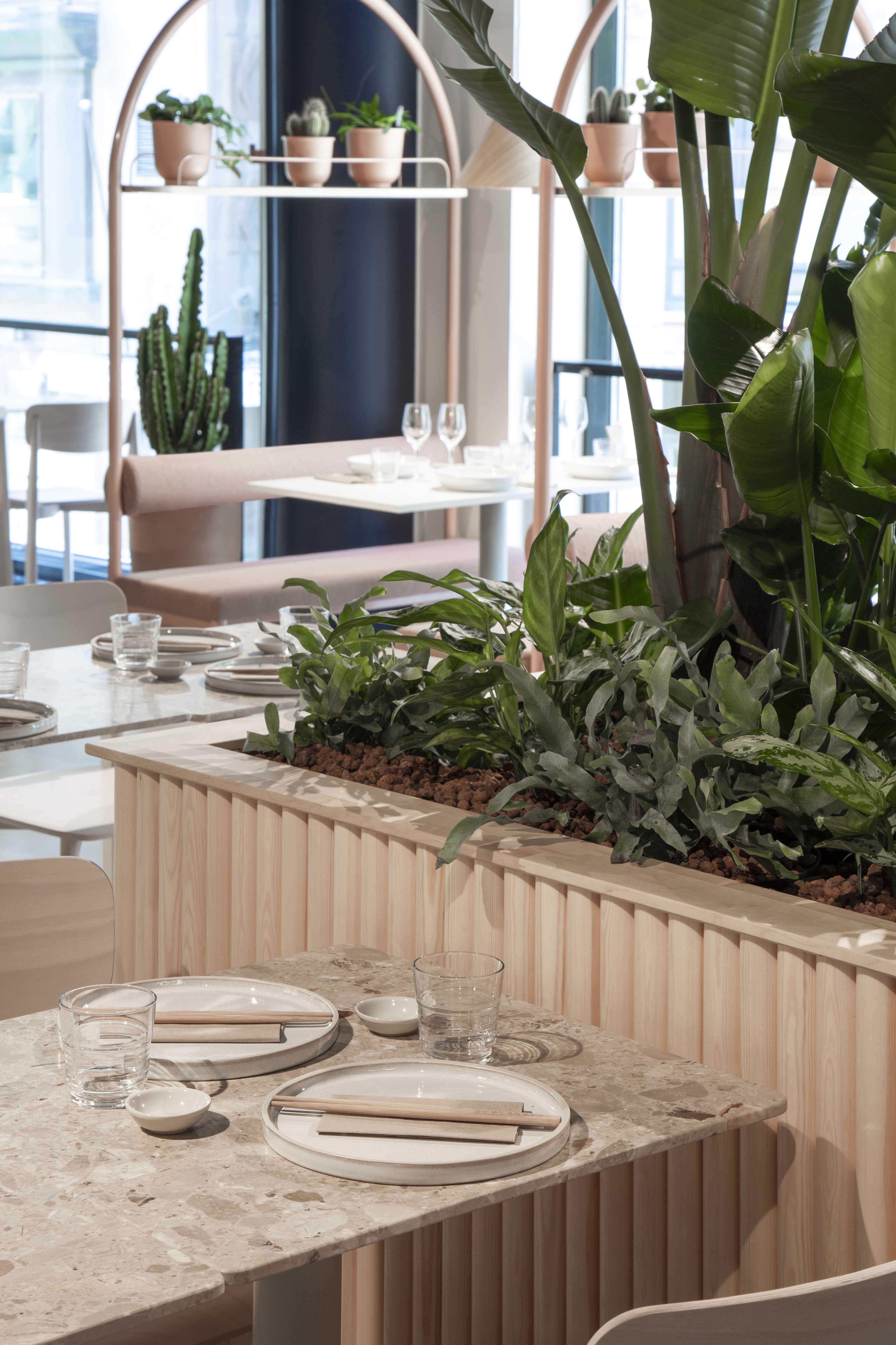Vegoshi restaurant custom plant divider